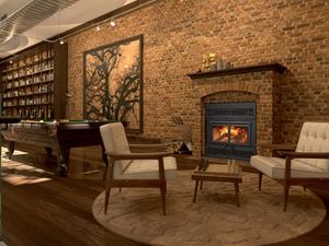 Kozy Heat: Z42-CD Twin Cast Door Woodburning Fireplace
