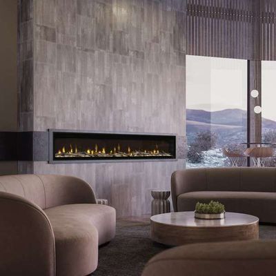 Dimplex: 100" Ignite Evolve Linear