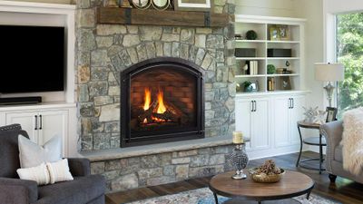 Heat & Glo: Cerona 42 Fireplace
