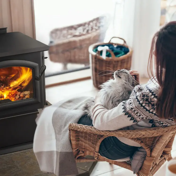 A Quadrafire 2100 wood stove warming a Northern Minnesota home &mdash; the kind of investment that pays back for decades